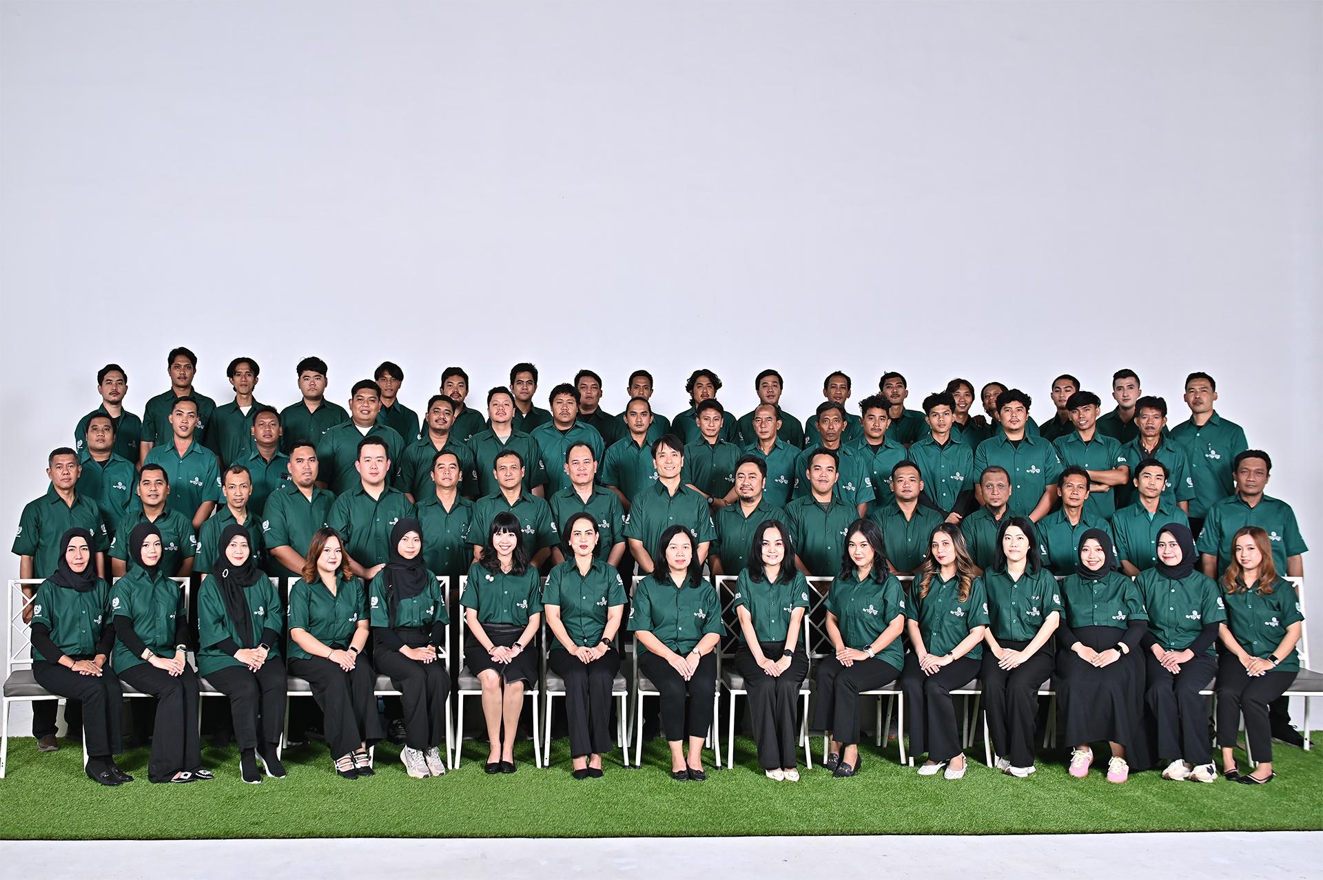 All Team